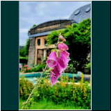 P1000785WhatsApp Image 2024-06-11 at 09.08.38(1).jpg